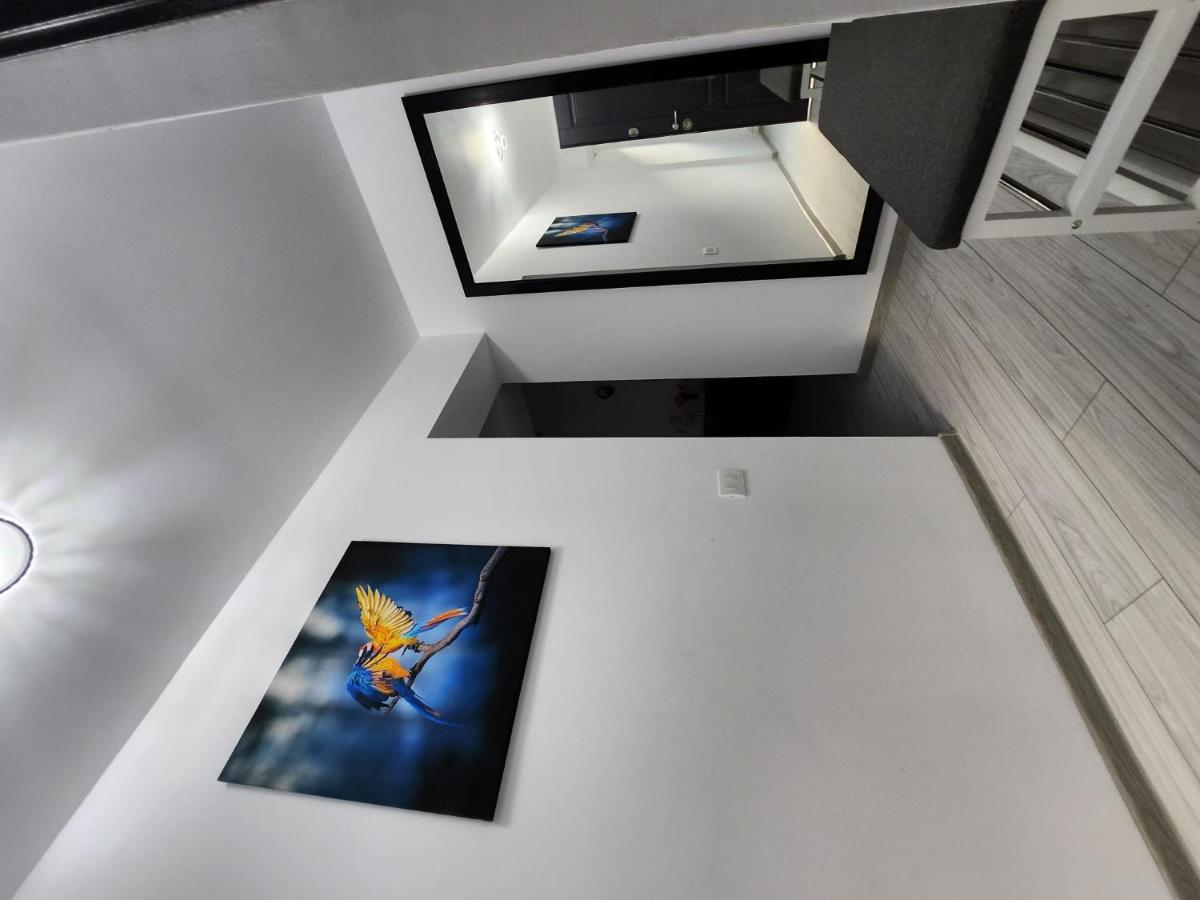 Apartament Edward *